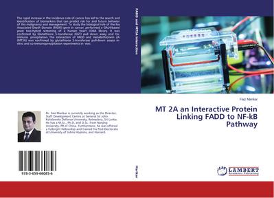 MT 2A an Interactive Protein Linking FADD to NF-kB Pathway