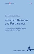 Zwischen Theismus und Pantheismus