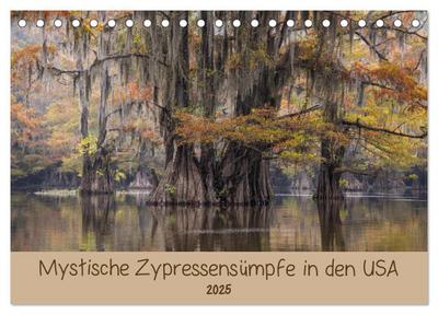 Mystische Zypressensümpfe (Tischkalender 2025 DIN A5 quer), CALVENDO Monatskalender