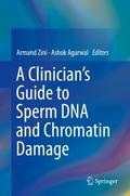 A Clinician’s Guide to Sperm DNA and Chromat