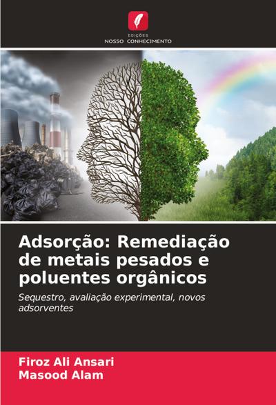 Adsorção: Remediação de metais pesados e poluentes orgânicos