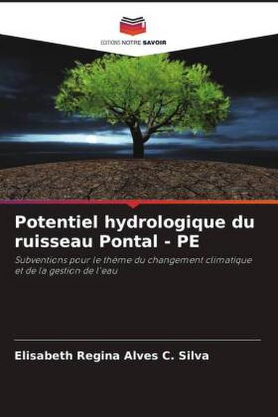 Potentiel hydrologique du ruisseau Pontal - PE