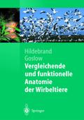 Vergleichende und funktionelle Anatomie der Wirbeltiere (Springer-Lehrbuch)