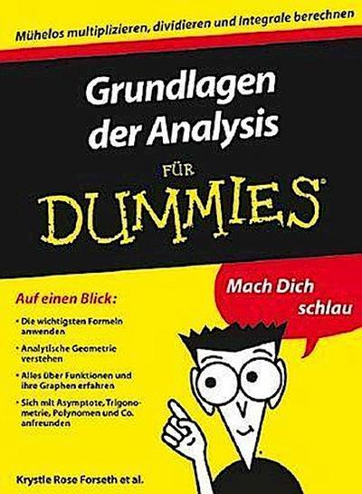 Grundlagen der Analysis für Dummies