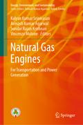Natural Gas Engines