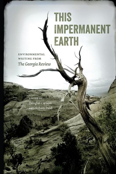 This Impermanent Earth