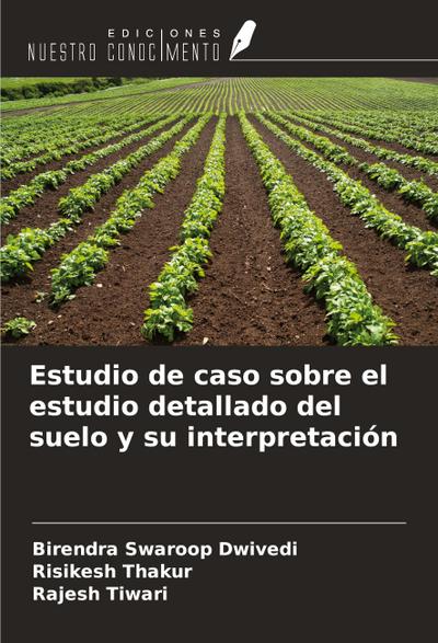 Estudio de caso sobre el estudio detallado del suelo y su interpretación