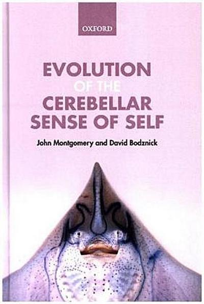 Evolution of the Cerebellar Sense of Self