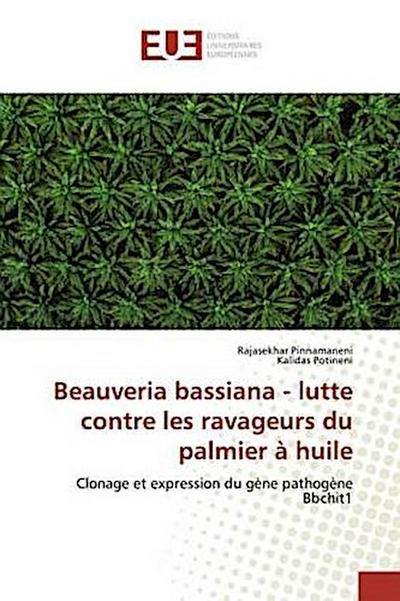 Beauveria bassiana - lutte contre les ravageurs du palmier à huile
