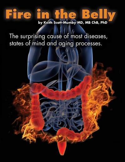 Fire In The Belly: The Surprising Cause of Most Diseases, States Of Mind and Aging Processes