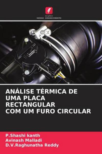 ANÁLISE TÉRMICA DE UMA PLACA RECTANGULAR COM UM FURO CIRCULAR