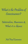 What is the Problem of Consciousness?