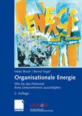 Organisationale Energie