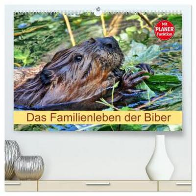Das Familienleben der Biber (hochwertiger Premium Wandkalender 2026 DIN A2 quer), Kunstdruck in Hochglanz