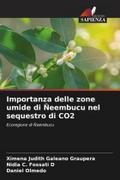 Importanza delle zone umide di Ñeembucu nel sequestro di CO2
