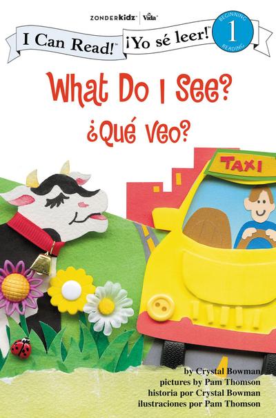 ¿Qué veo? / What Do I See?