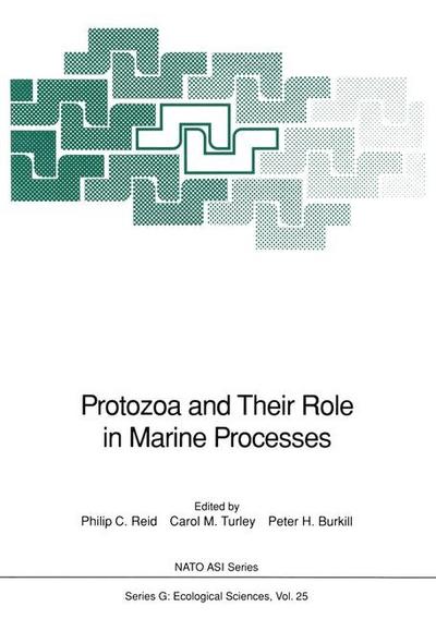Protozoa and Their Role in Marine Processes