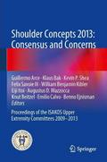 Shoulder Concepts 2013: Consensus and Concerns