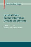 Iterated Maps on the Interval as Dynamical Systems
