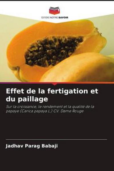 Effet de la fertigation et du paillage