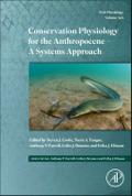 Conservation Physiology for the Anthropocene - A Systems Approach