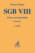 SGB VIII