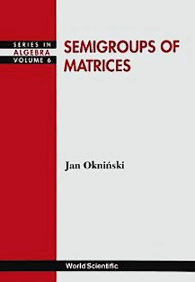 SEMIGROUPS OF MATRICES              (V6)