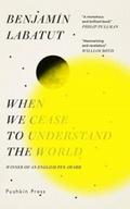 When We Cease to Understand the World