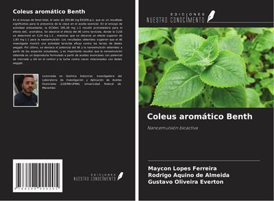 Coleus aromático Benth