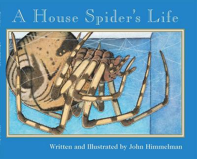 A House Spider’s Life (Nature Upclose)