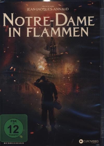 Notre Dame in Flammen