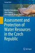 Assessment and Protection of Water Resources in th