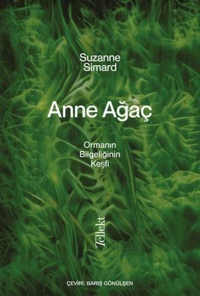 Anne Agac - Ormanin Bilgeligin Kesfi