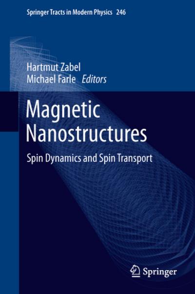 Magnetic Nanostructures