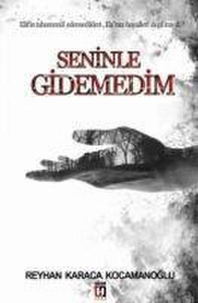 Seninle Gidemedim