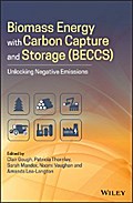Biomass Energy with Carbon Capture and Storage (BECCS)