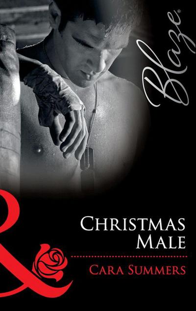 Christmas Male (Mills & Boon Blaze) (Uniformly Hot!, Book 13)