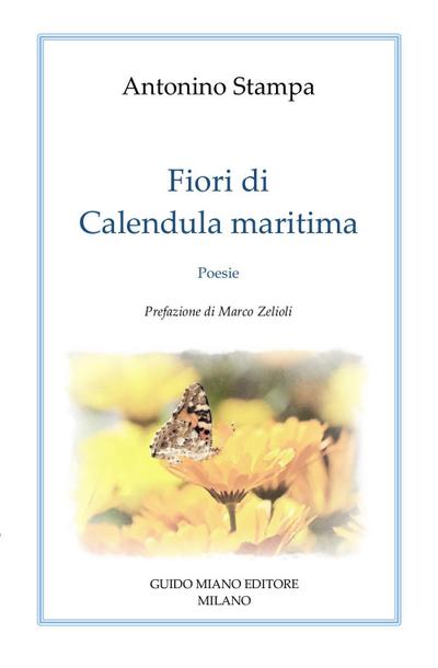 Stampa, A: Fiori di Calendula Maritima