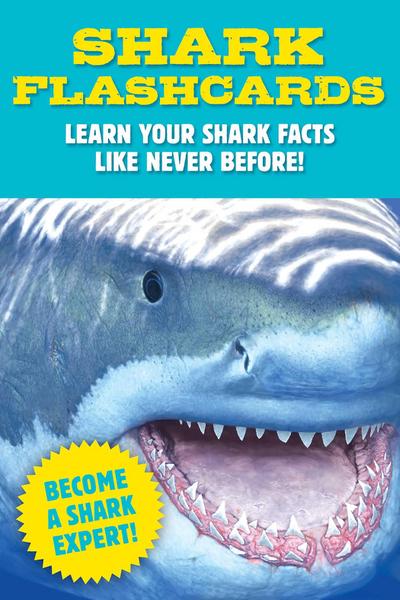 Shark Flashcards