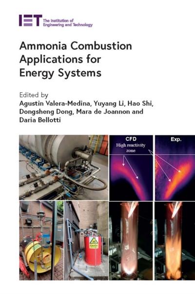Ammonia Combustion Applications for Energy Systems