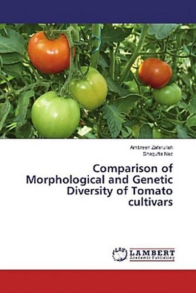 Comparison of Morphological and Genetic Diversity of Tomato cultivars