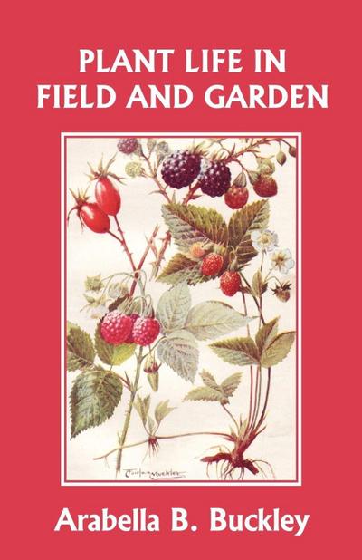 Plant Life in Field and Garden (Yesterday’s Classics)