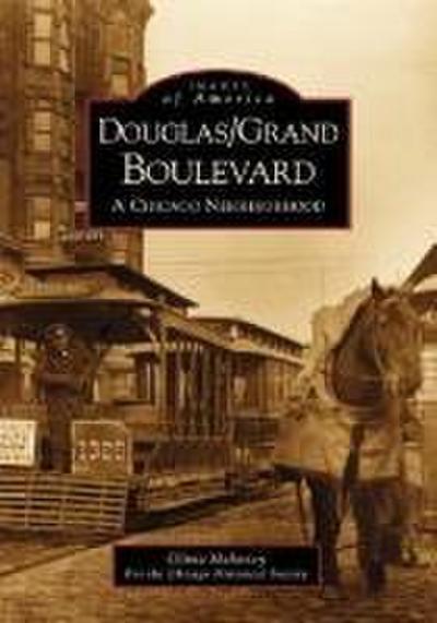 Douglas/Grand Boulevard: A Chicago Neighborhood