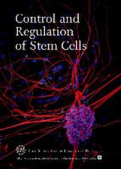 Control and Regulation of Stem Cells