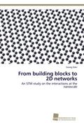 From building blocks to 2D networks
