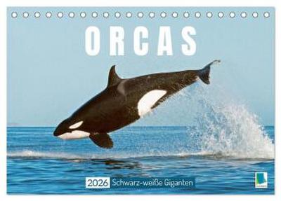 Orcas: Schwarz-weiße Giganten (Tischkalender 2026 DIN A5 quer), CALVENDO Monatskalender