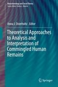 Theoretical Approaches to Analysis and Interpretat