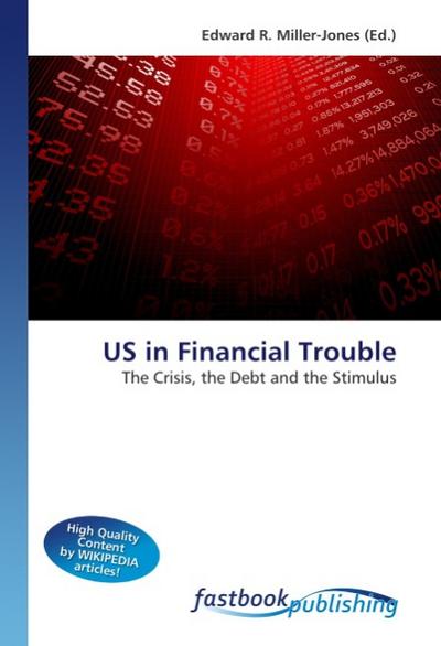 US in Financial Trouble - Edward R. Miller-Jones