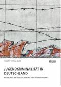 Jugendkriminalität in Deutschland. Wie gelingt die Resozialisierung von Intensivtätern?