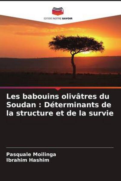 Les babouins olivâtres du Soudan : Déterminants de la structure et de la survie